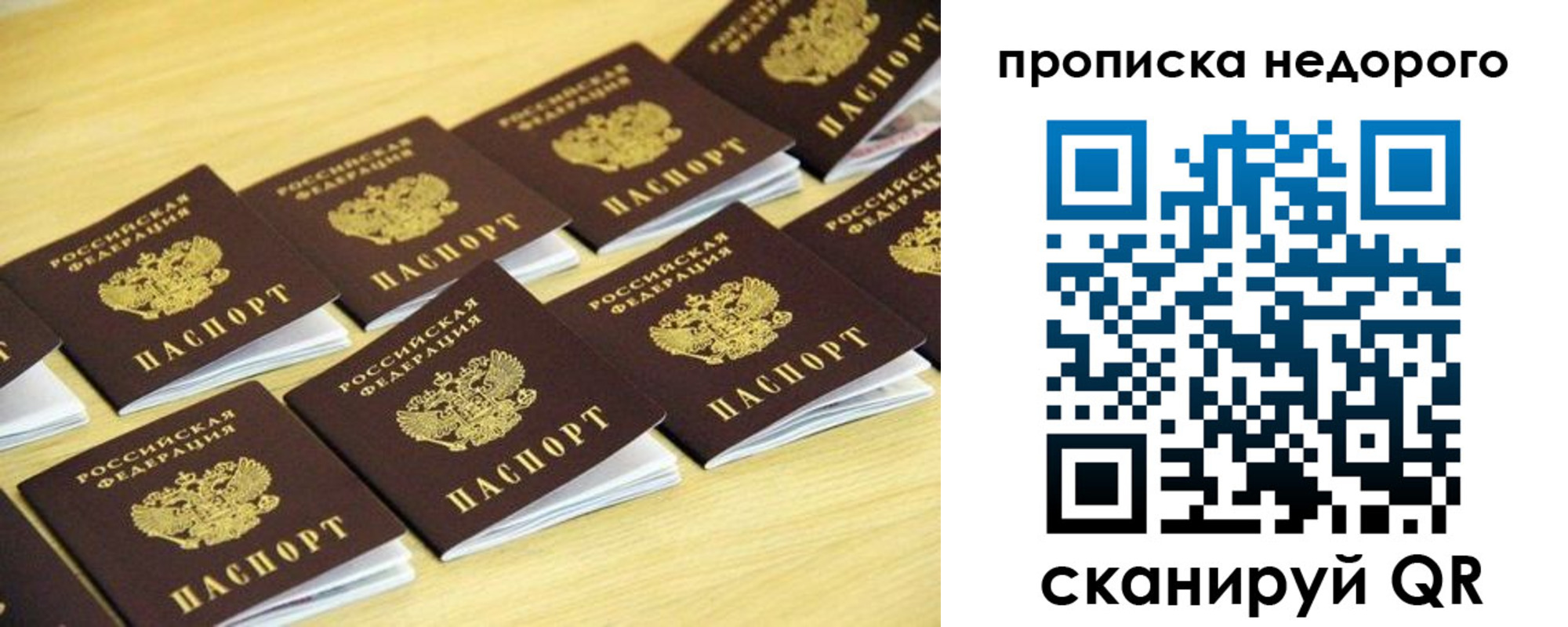 прописка для работы в Светогорске